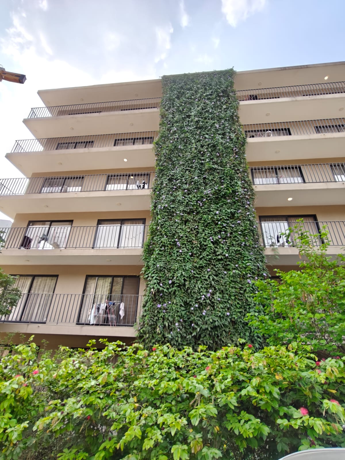 facade greening Webnet