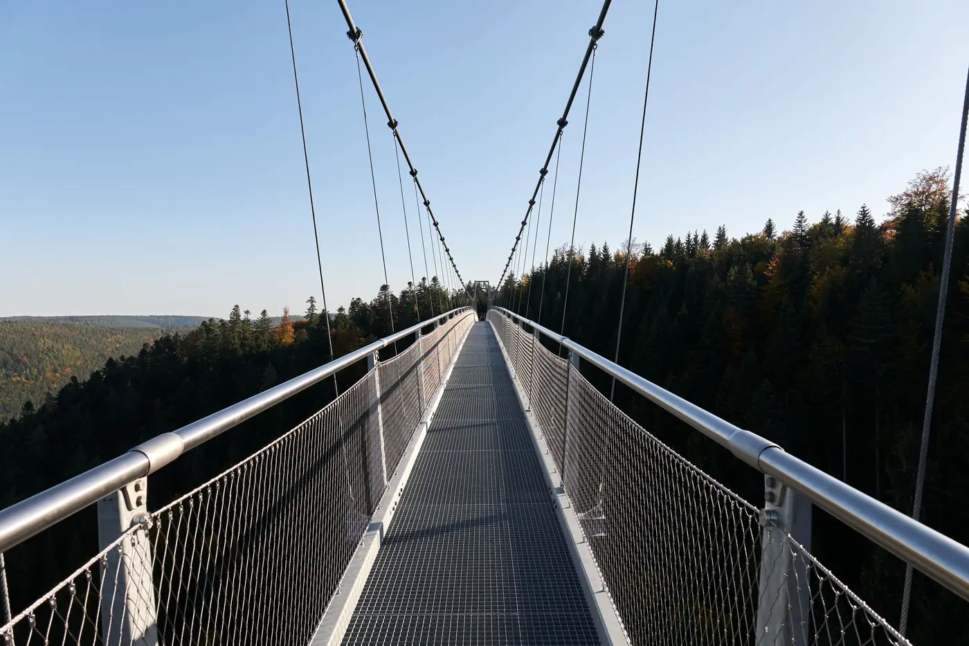 Suspension footbridge