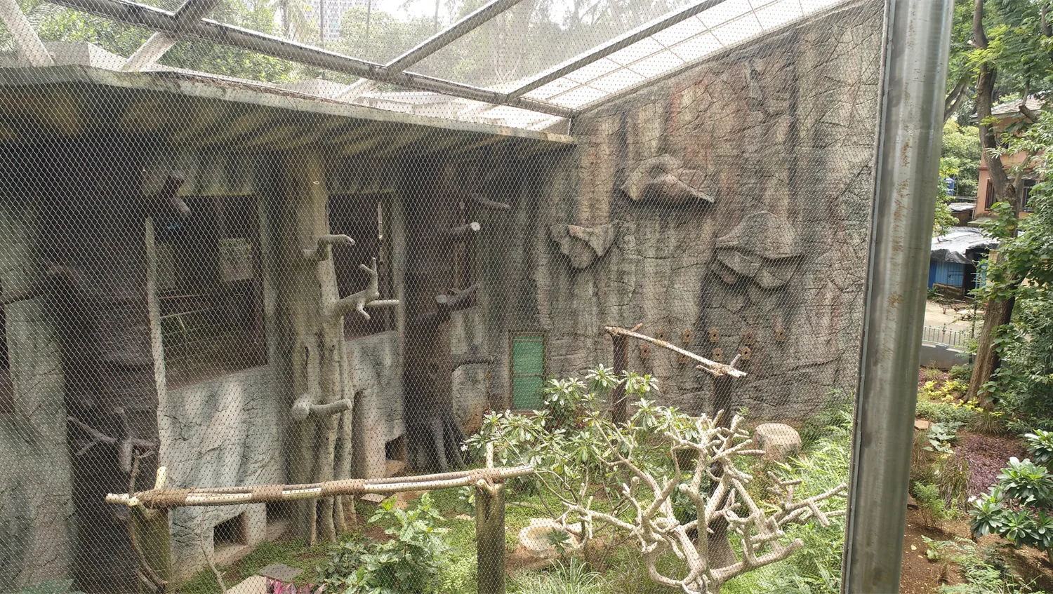 Climbable mesh in an indoor zoo enclosure