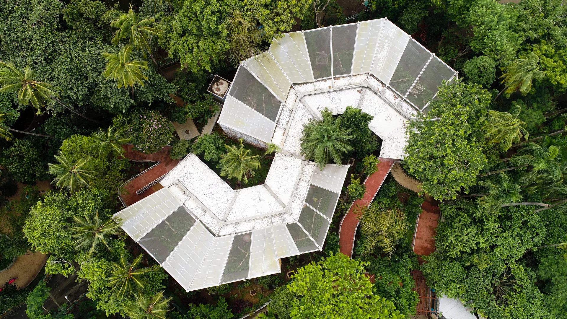 Aviaries