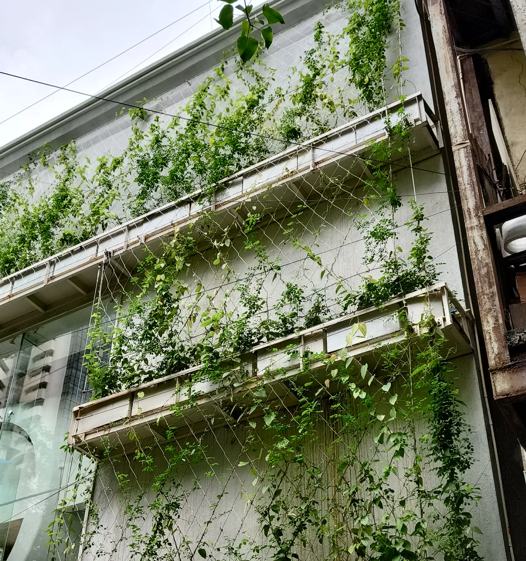 Façade planters, Kala Ghoda