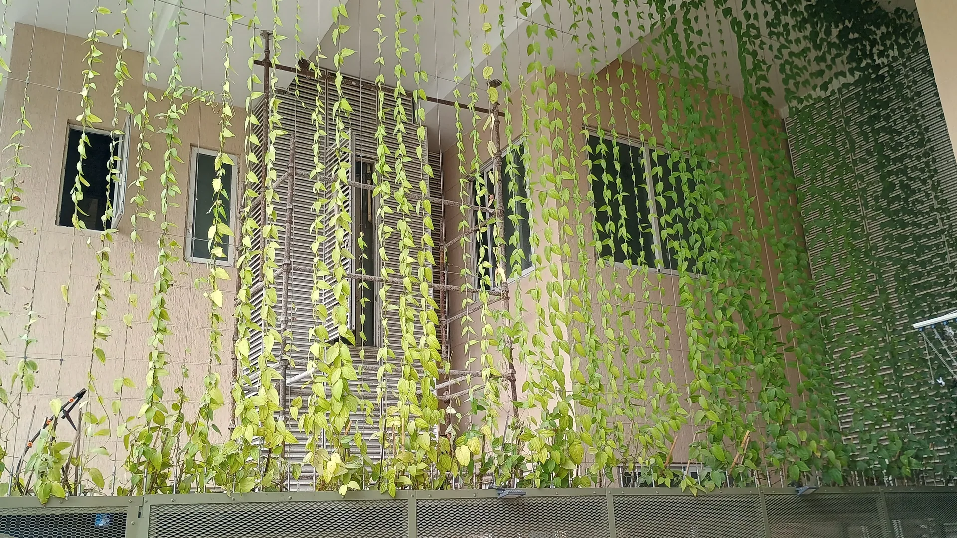 Cable greening