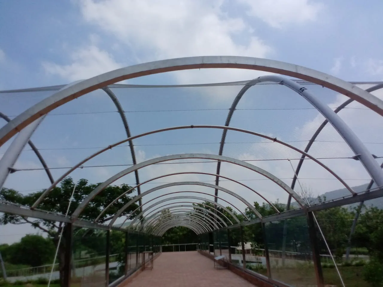 Bird aviary, Rajgir Zoo Safari